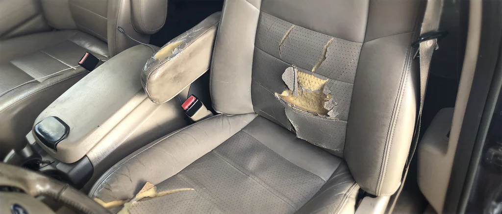 Upgrade Your Interior Style